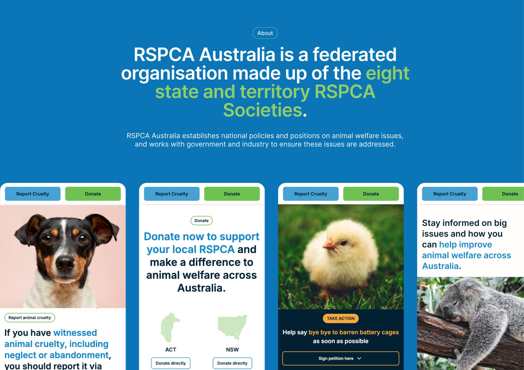 RSPCA Australia - Good Design