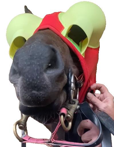 5.JPG