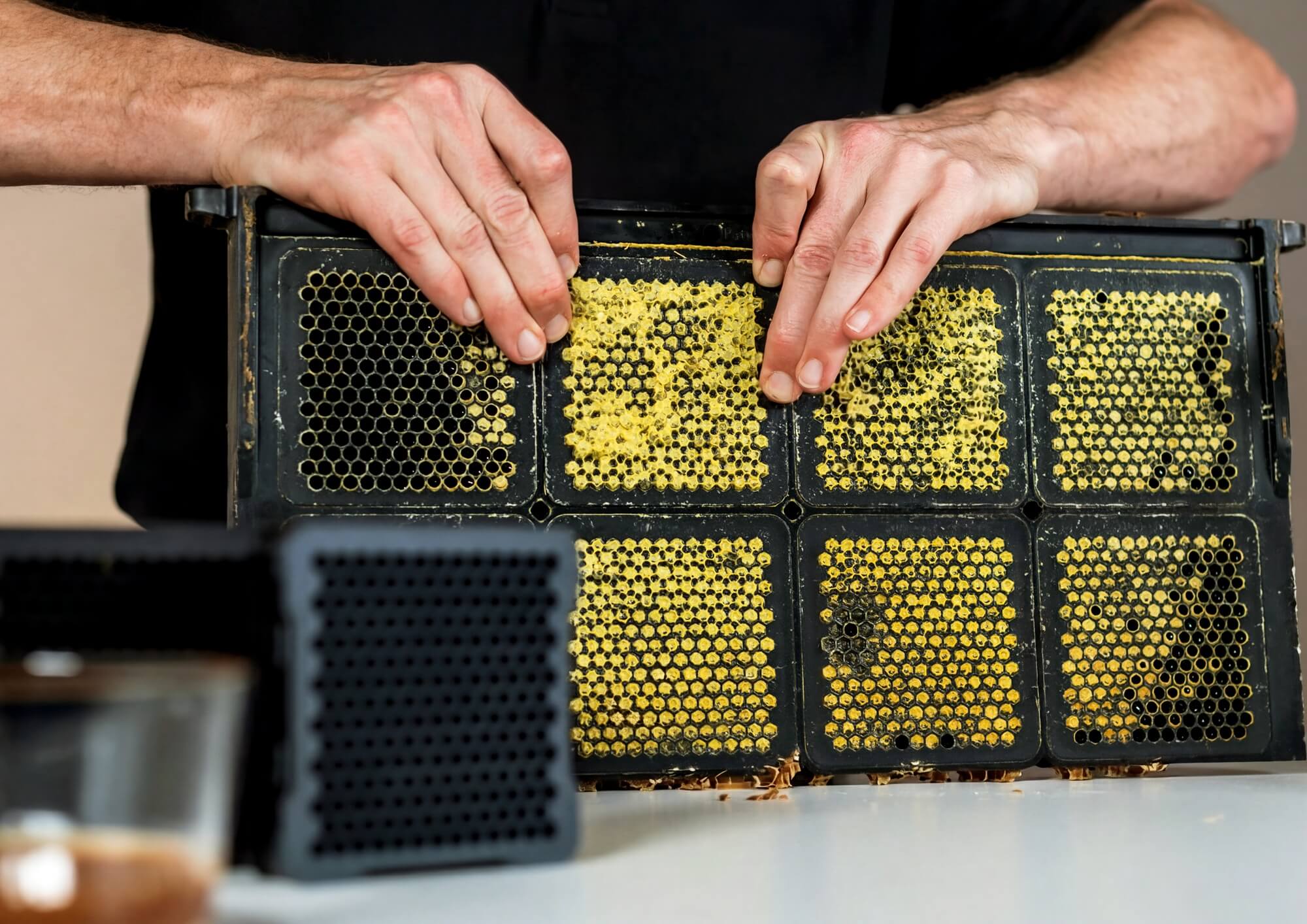 Hivekeepers Micro Honey Harvester - Good Design